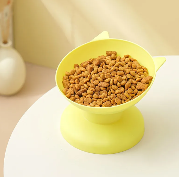 Anti-Vomit Ergonomic Tilted Pet Bowl