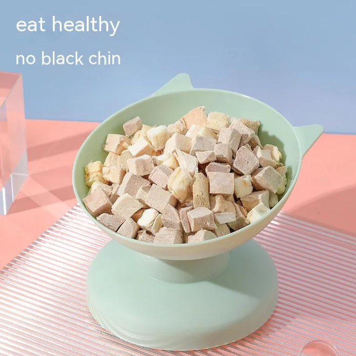 Anti-Vomit Ergonomic Tilted Pet Bowl